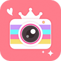 訓練師出來！《寶可夢大集結》首場官方賽事開放報名