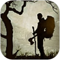 李晨洲穿越了。这个国际的规模很大，所以人们需求轿车。汽